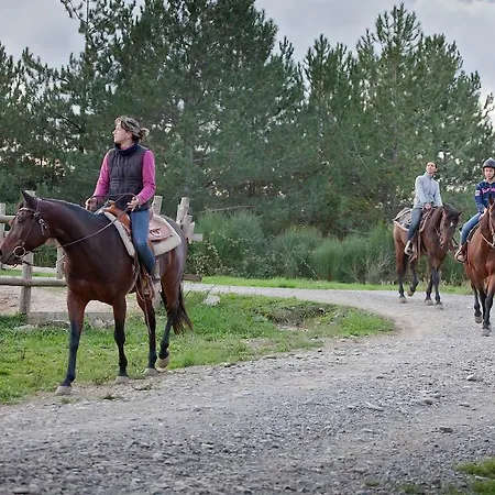 Tenuta La Silva Seggiano
