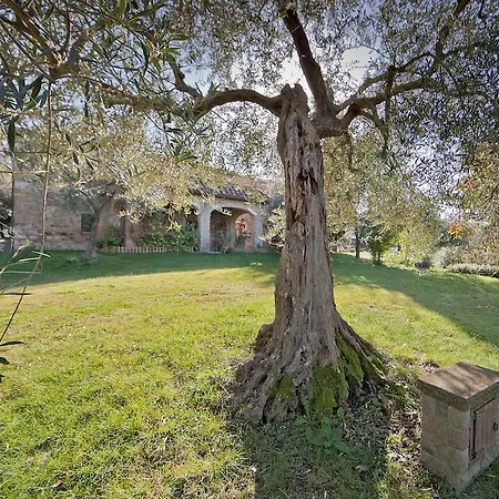 Tenuta La Silva Seggiano