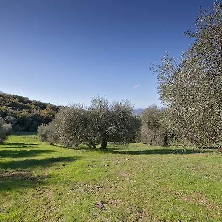 Tenuta La Silva