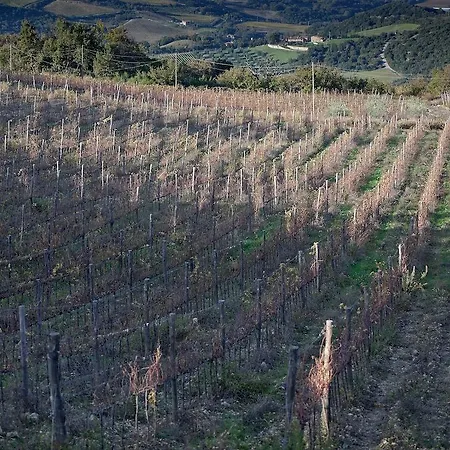 Farm stay Tenuta La Silva Seggiano
