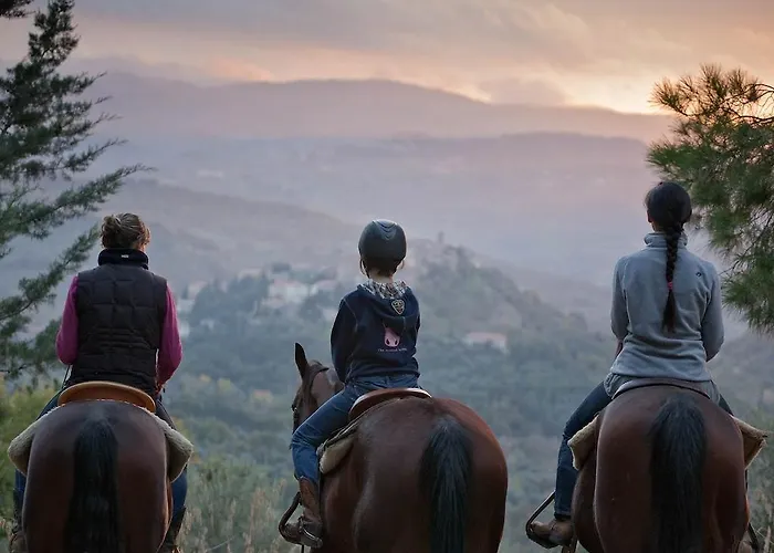 팜스테이 Tenuta La Silva *