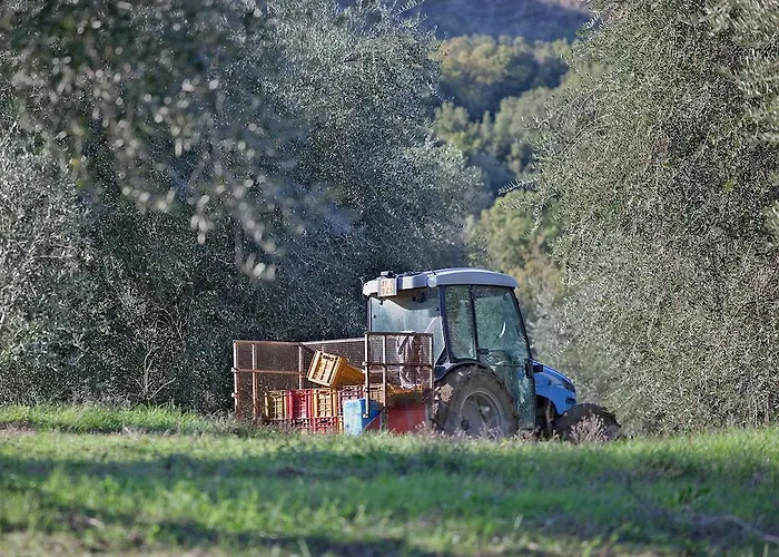 팜스테이 Tenuta La Silva *