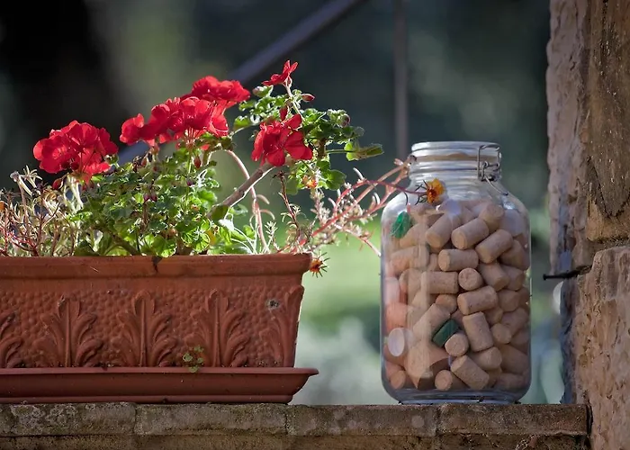 팜스테이 Tenuta La Silva