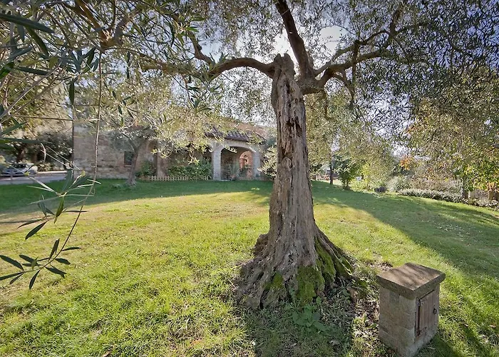 Tenuta La Silva 세지아노