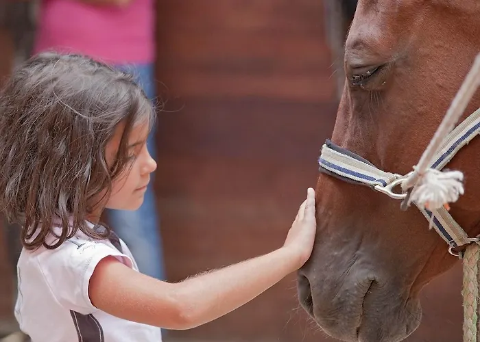 Tenuta La Silva 세지아노