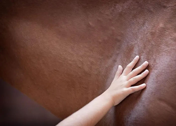 팜스테이 Tenuta La Silva