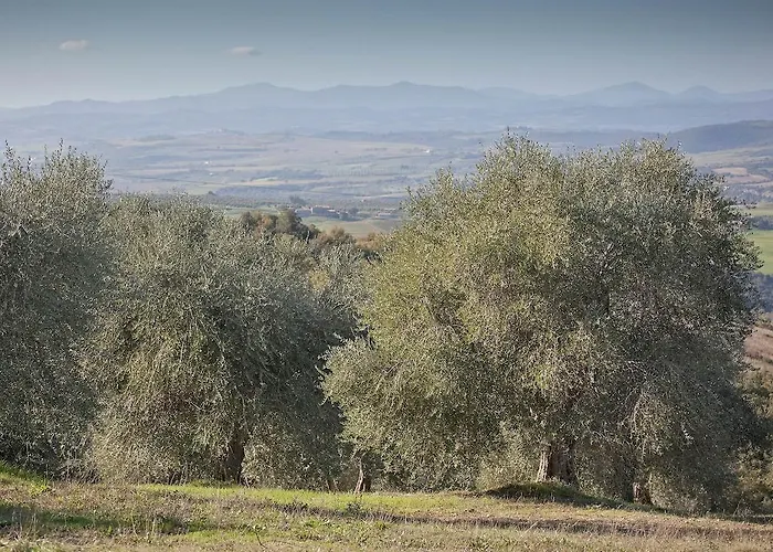 Tenuta La Silva