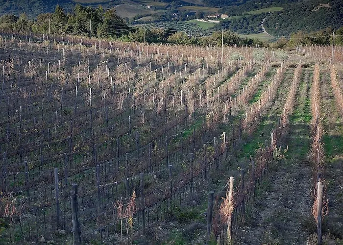 팜스테이 Tenuta La Silva 세지아노