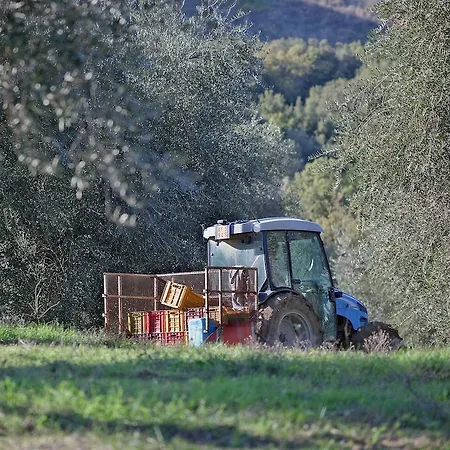 בית חווה Tenuta La Silva *